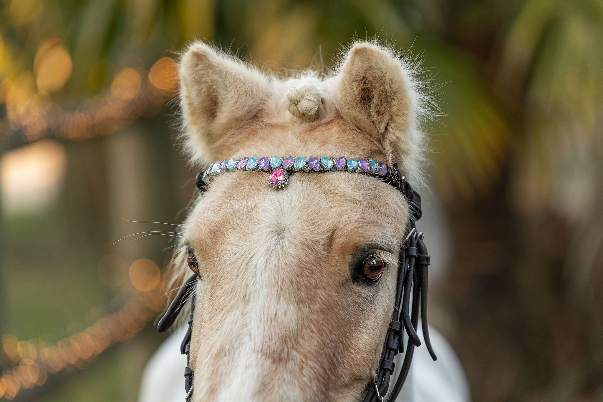 Frontal princesse - equipassion - boutique