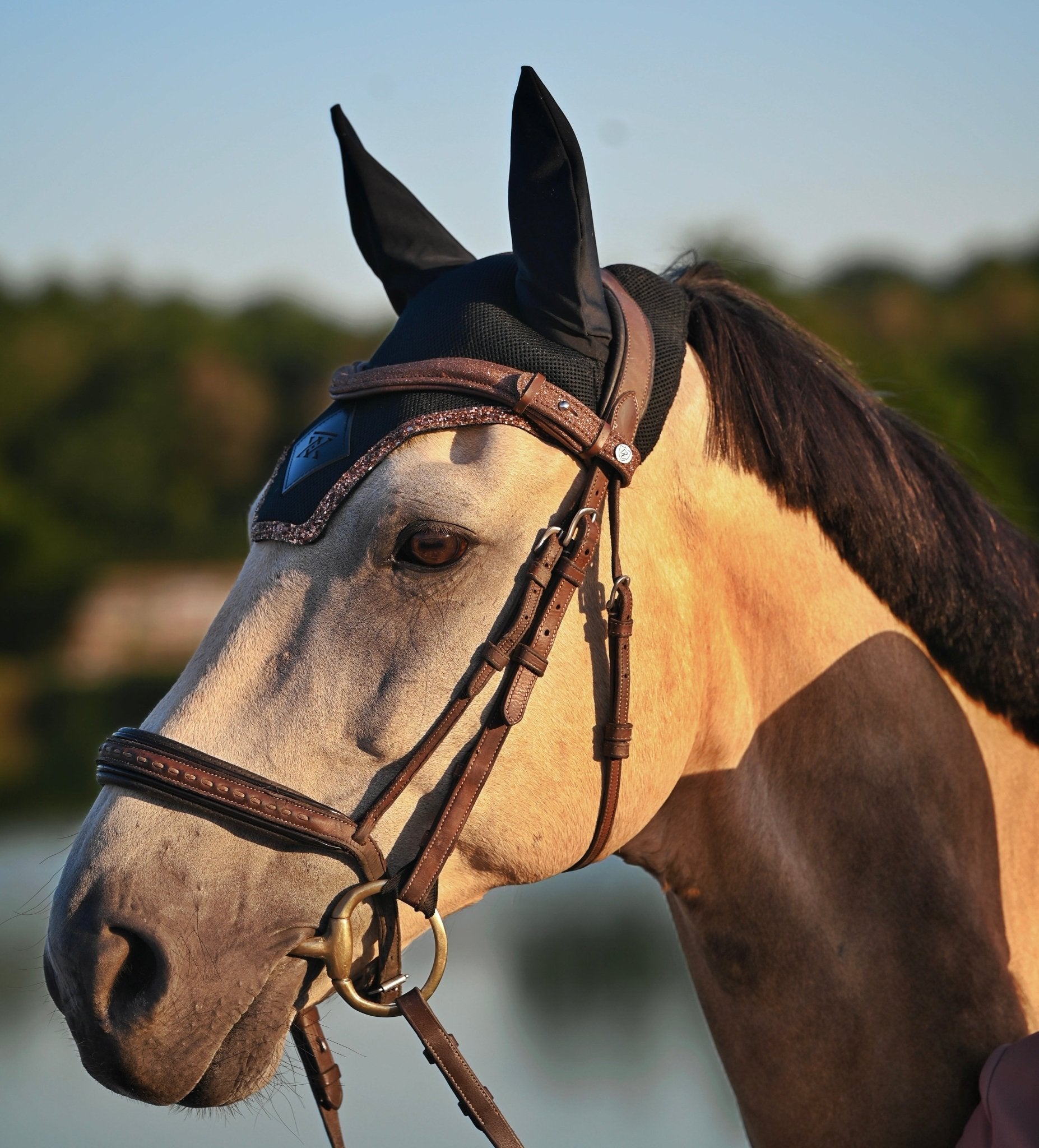 Frontal Universe - Frontal cheval pailleté - equipassion-boutique