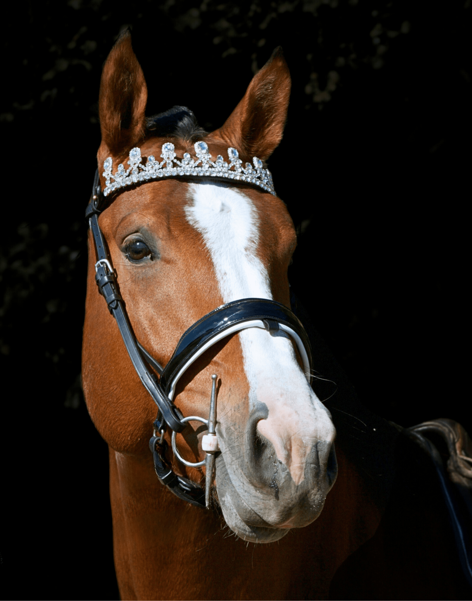 Frontal Couronne Eclat - equipassion - boutique
