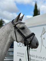 frontal cheval simple