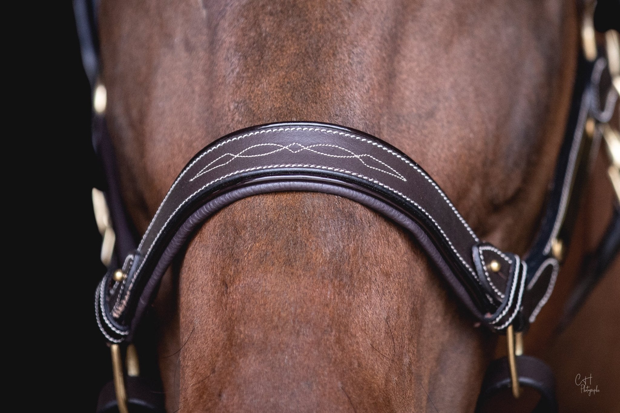 GRAVURE - Licol cuir marron poney - equipassion - boutique