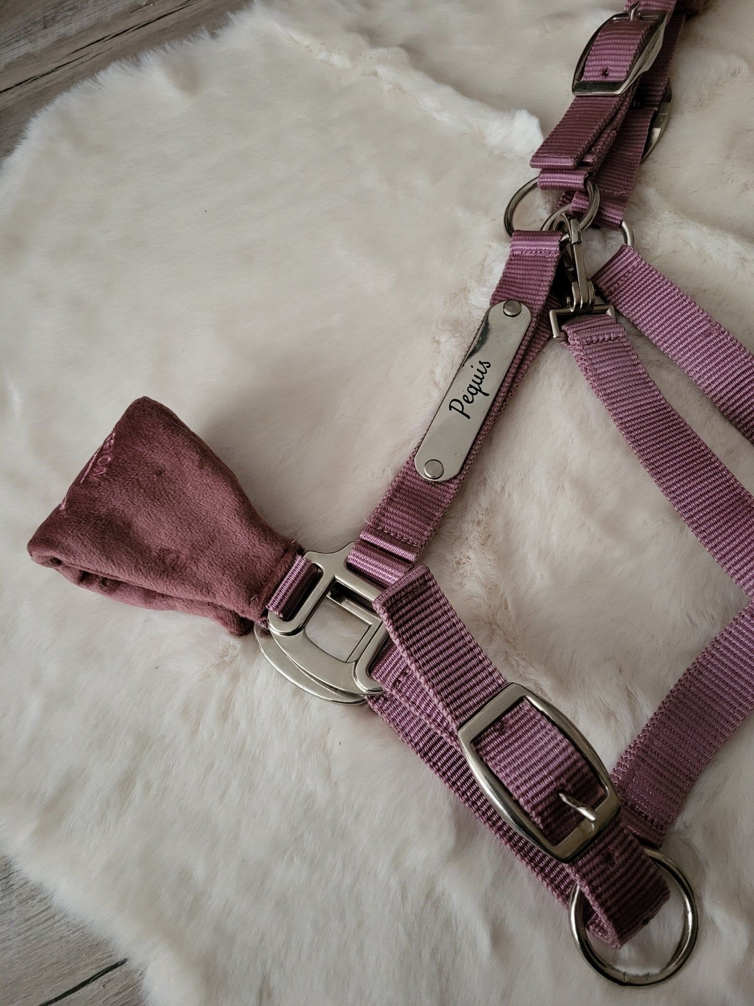 GRAVURE - Licol velours rose pâle - equipassion - boutique