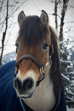 Charger l&#39;image dans la galerie, Licol cuir marron poney
