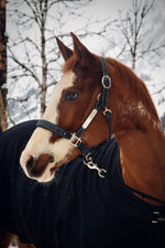 Charger l&#39;image dans la galerie, Licol cuir noir cheval
