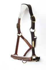 Licol cuir cognac tressé - equipassion - boutique