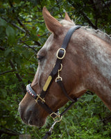 Licol cuir et strass marron cheval - equipassion - boutique