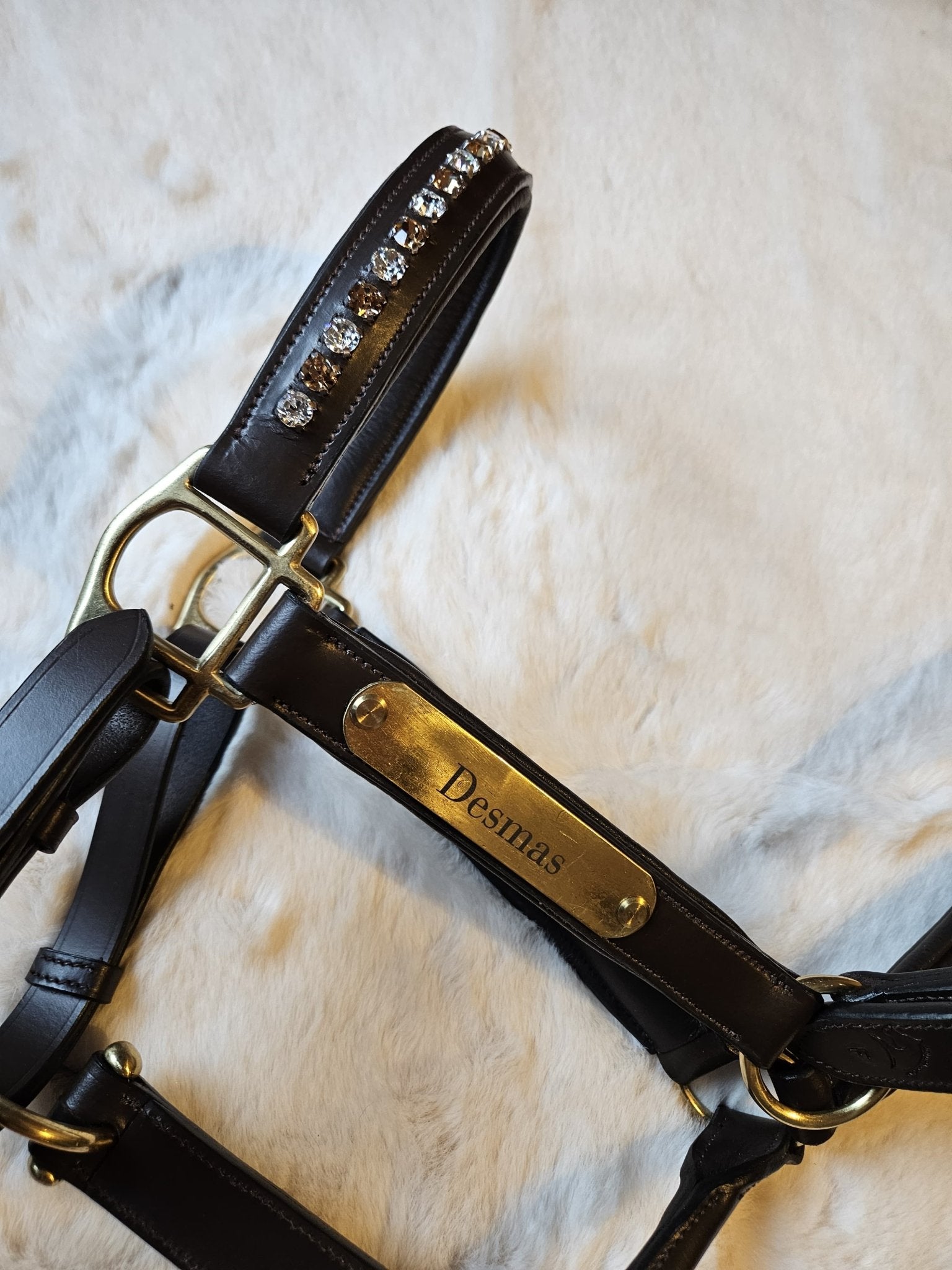 Licol cuir et strass marron cheval - equipassion - boutique