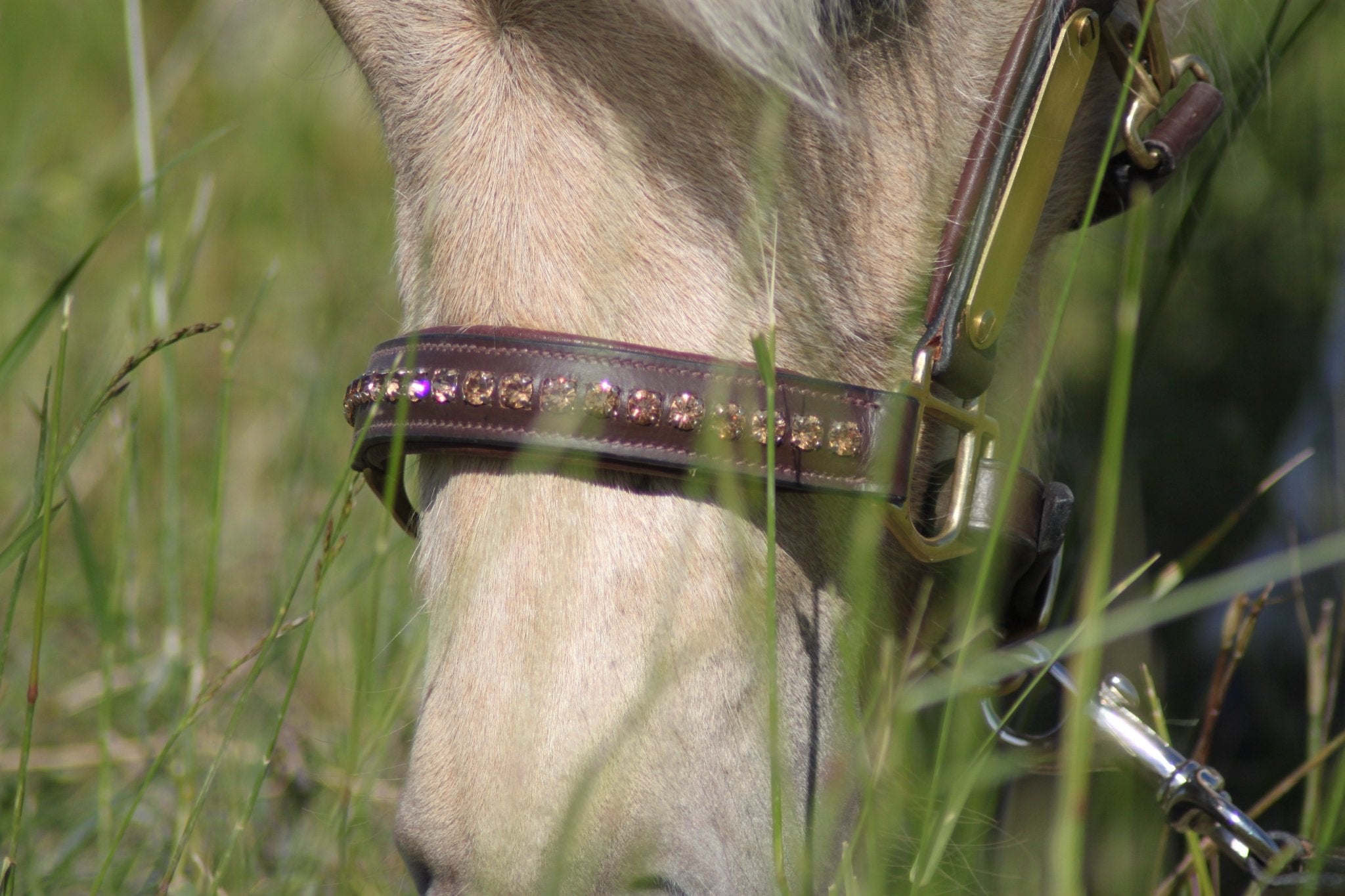 Licol cuir et strass marron poney / shetland - equipassion - boutique