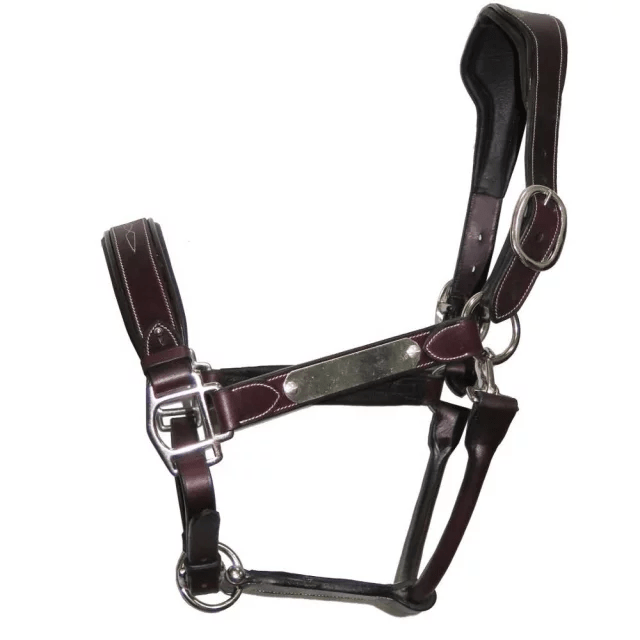 GRAVURE - Licol cuir marron poney - equipassion - boutique