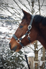 Licol cuir noir poney - equipassion - boutique