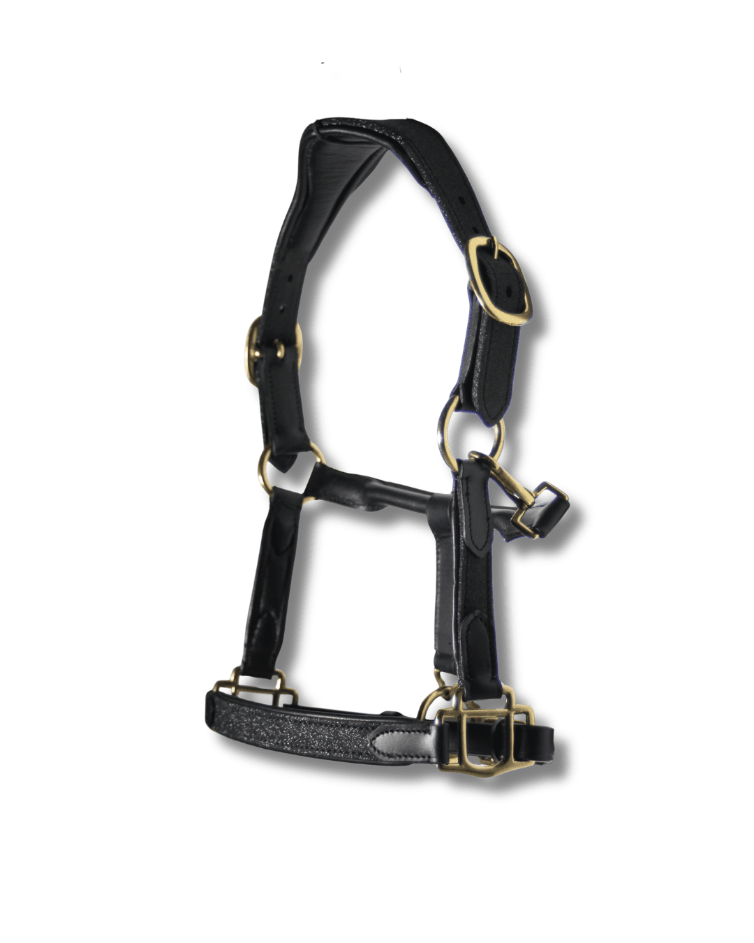 Licol cuir paillette noir Universe - equipassion - boutique