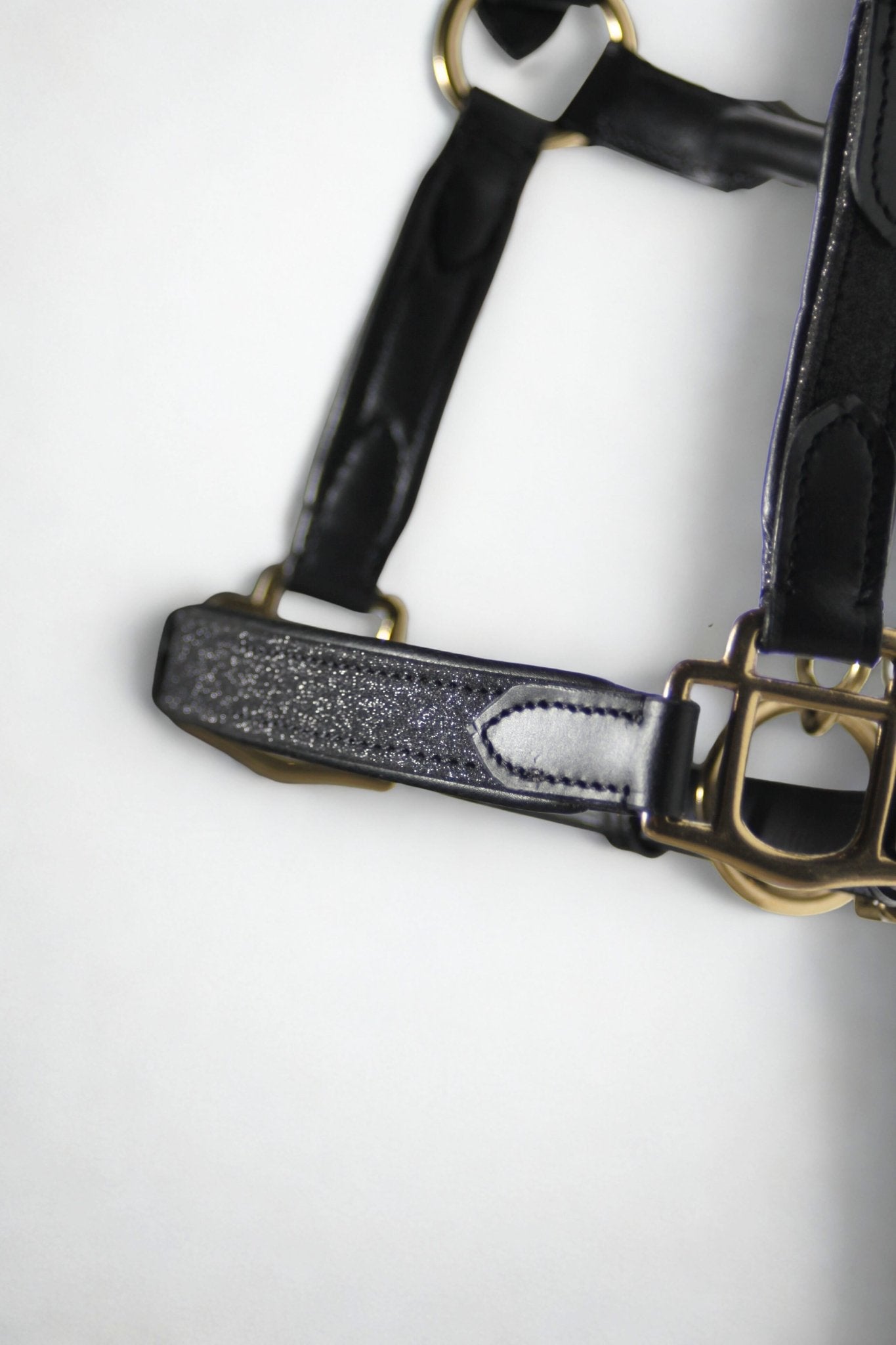 Licol cuir paillette noir Universe - equipassion - boutique