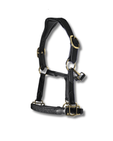 Licol cuir paillette noir Universe - equipassion - boutique