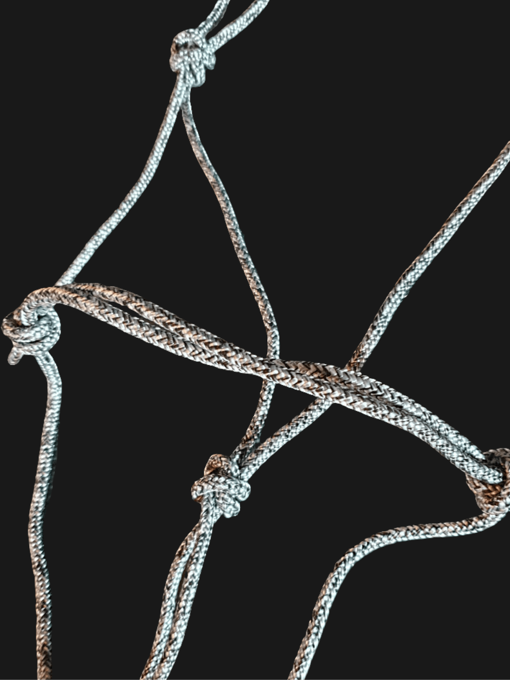 Licol éthologique simple - equipassion - boutique