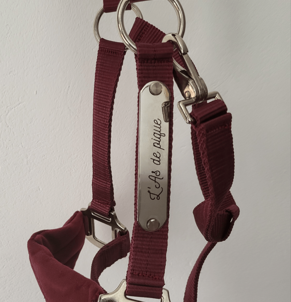 Licol velours bordeaux gravé - equipassion - boutique