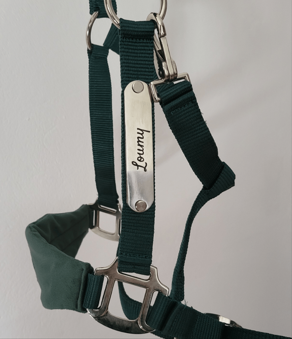 Licol velours vert sapin - equipassion - boutique