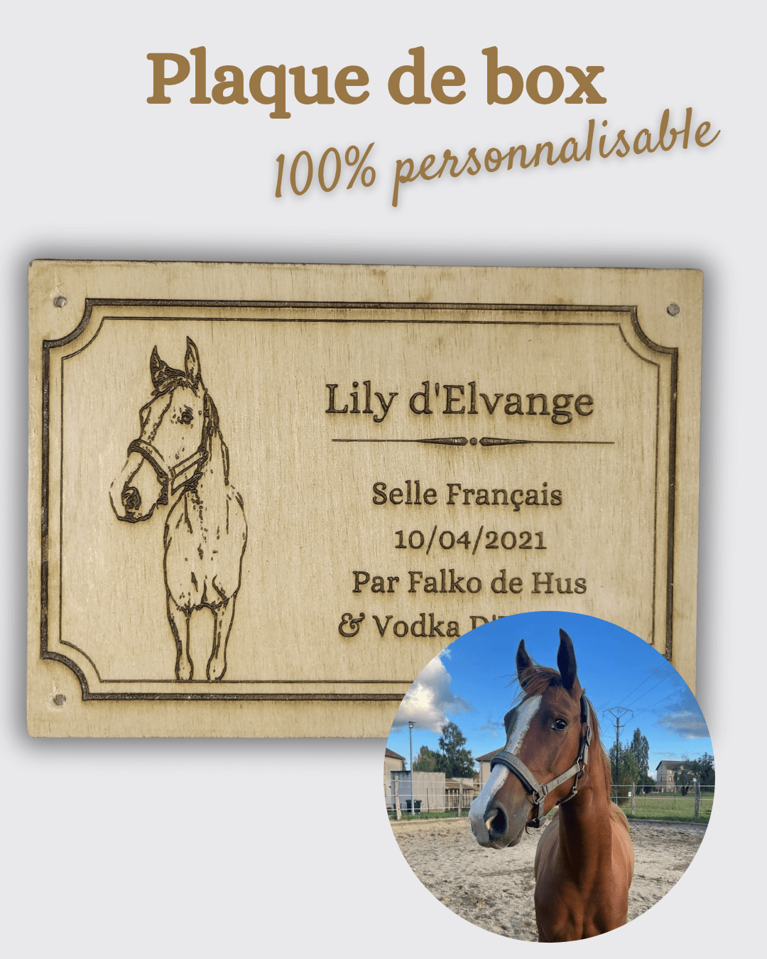 Plaque de box 100% personnalisable - equipassion - boutique