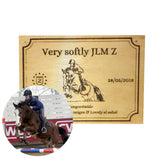 Plaque de box 100% personnalisable - equipassion - boutique