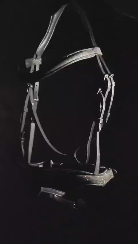 FILET CHEVAL PAILLETTé