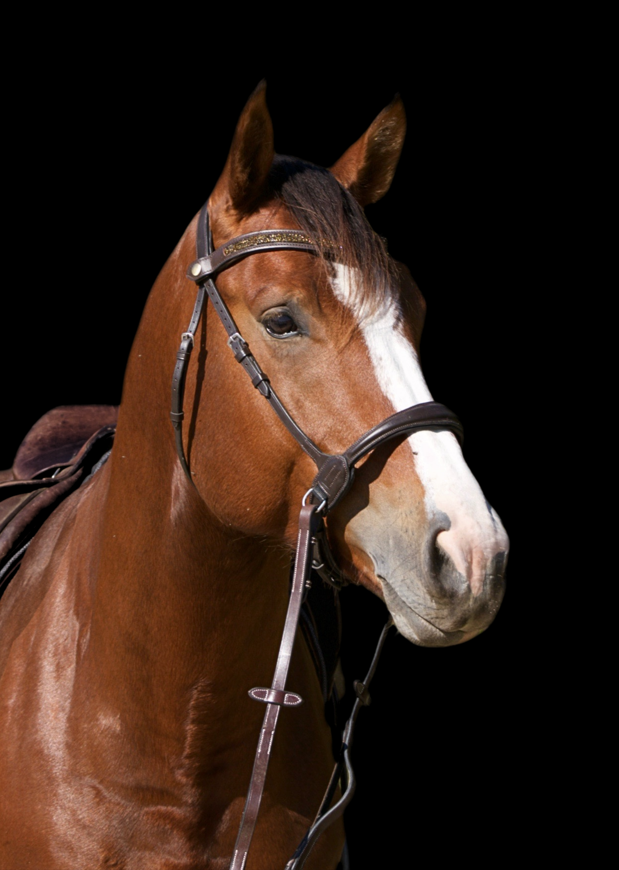 Side pull anatomique cuir harmony -