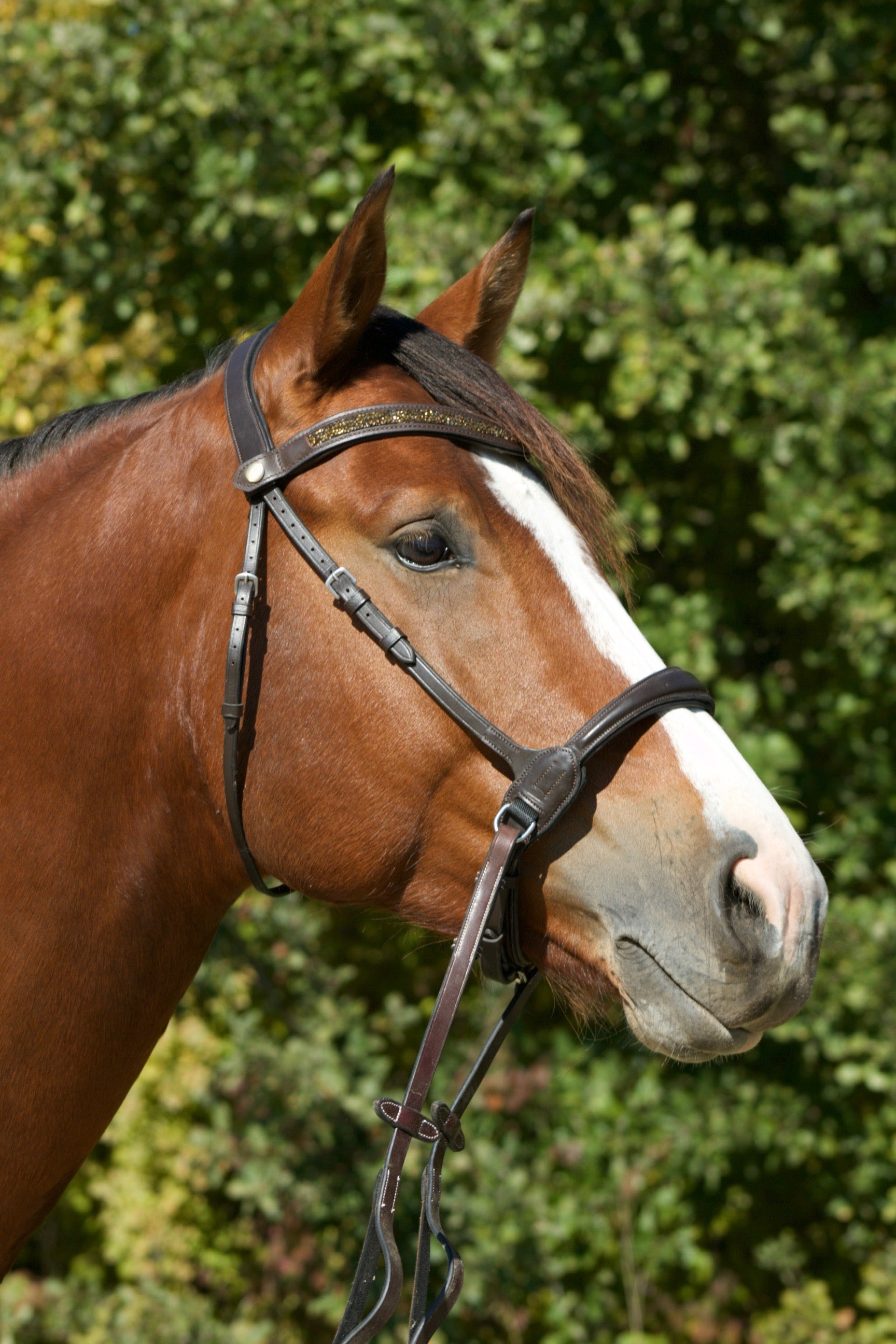 Side pull anatomique cuir harmony -