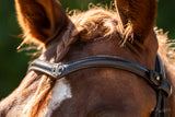 Frontal cheval Fleur de Lys en cuir | Frontal pour filet Equipassion