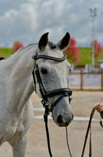 Charger l&#39;image dans la galerie, Frontal Brillanti I - Frontal cheval strass fin
