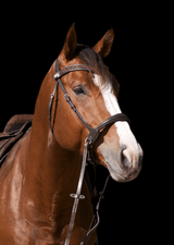 Side pull anatomique cuir harmony - equipassion - boutique