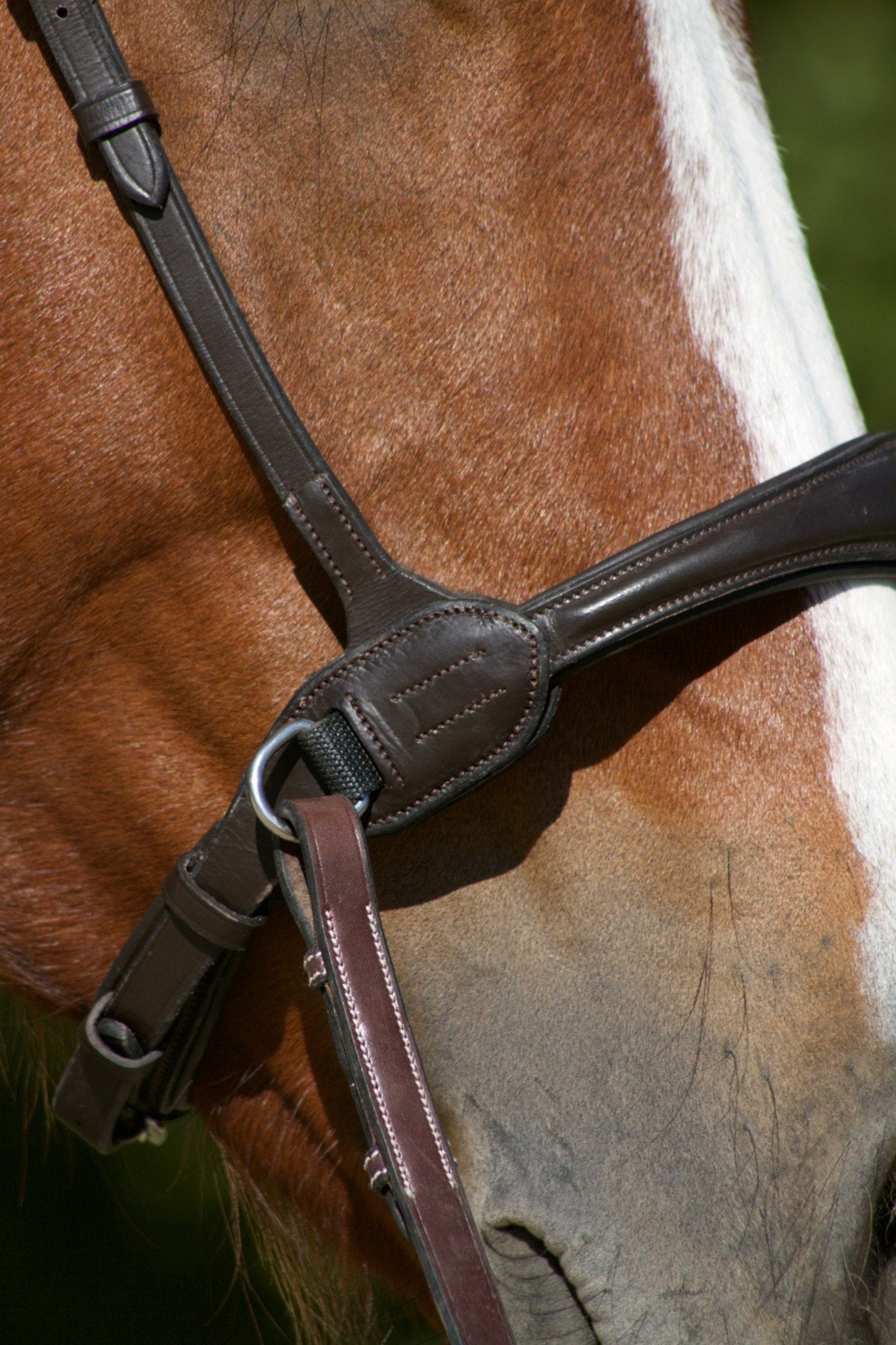 Side pull anatomique cuir harmony - equipassion - boutique