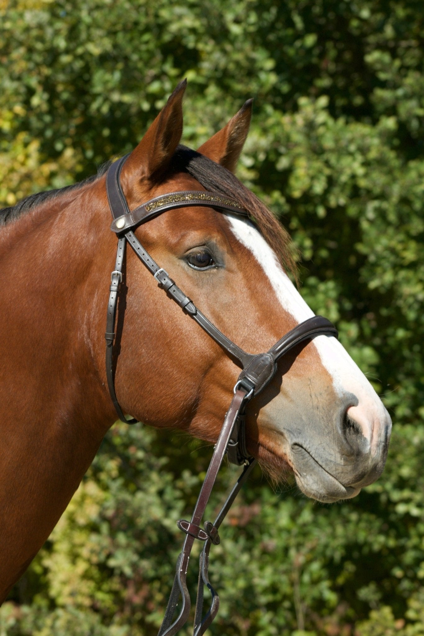 Side pull anatomique cuir harmony - equipassion - boutique