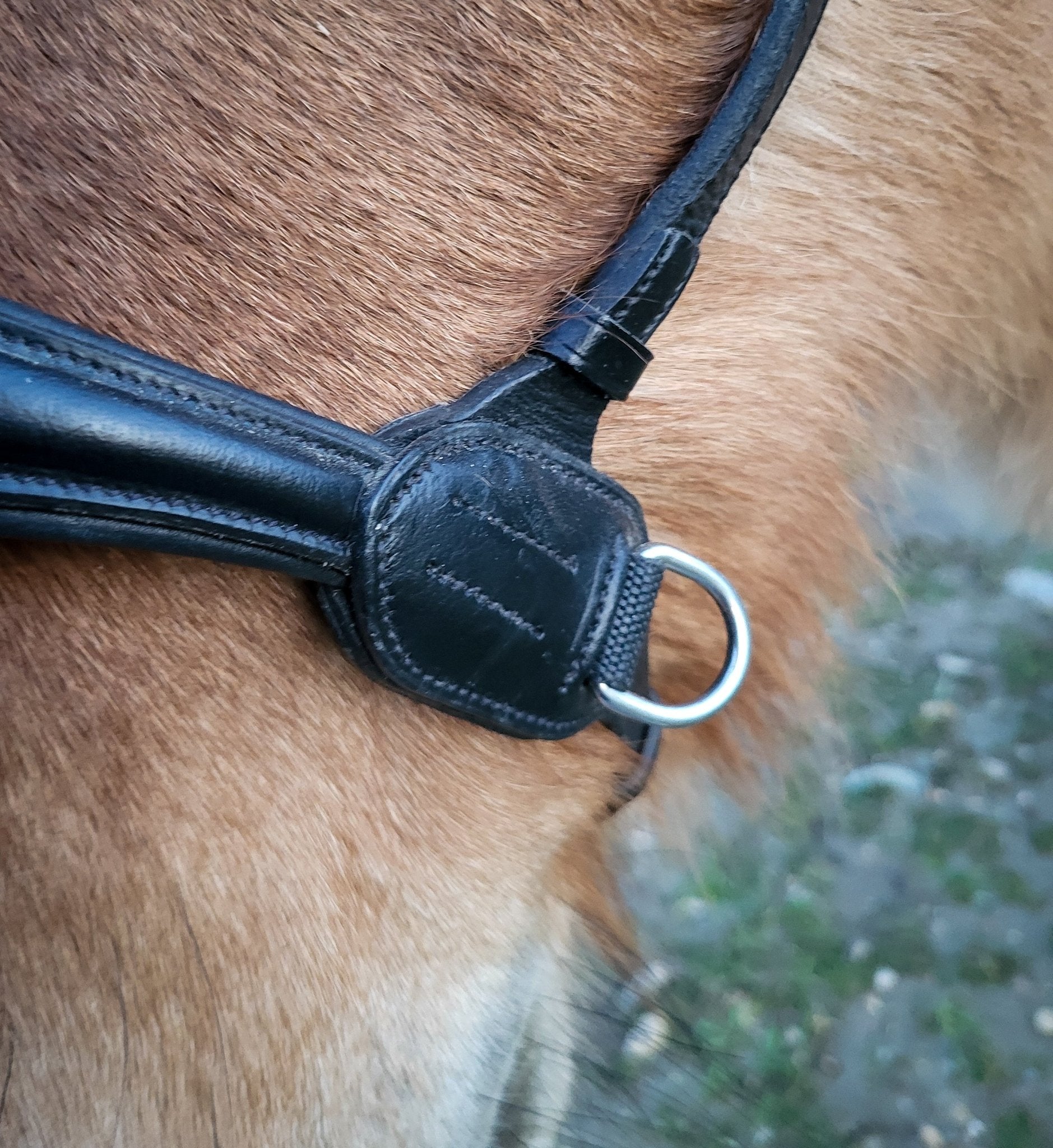 Side pull anatomique cuir harmony - noir - equipassion - boutique