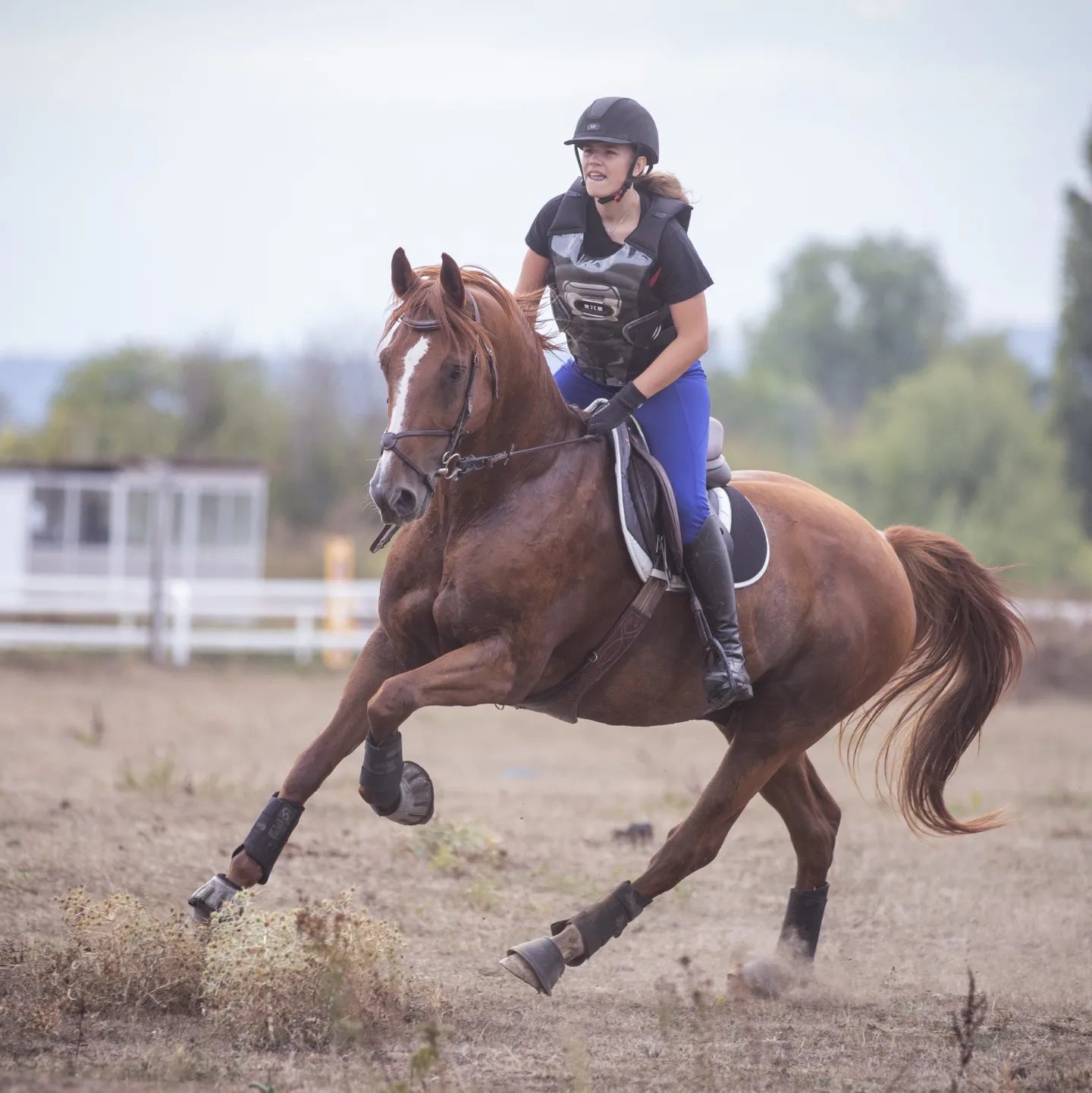 Pantalons leggings d'équitation bleu