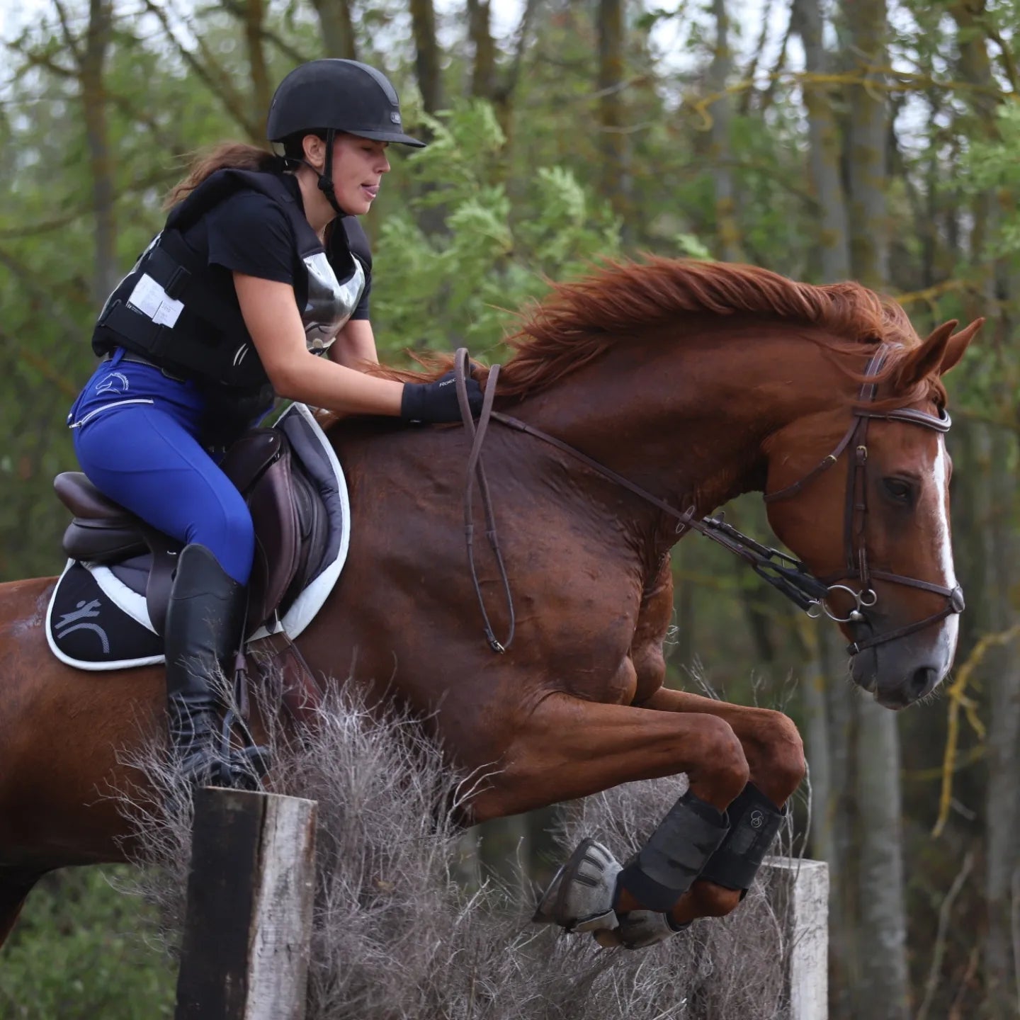 Pantalons leggings d'équitation bleu