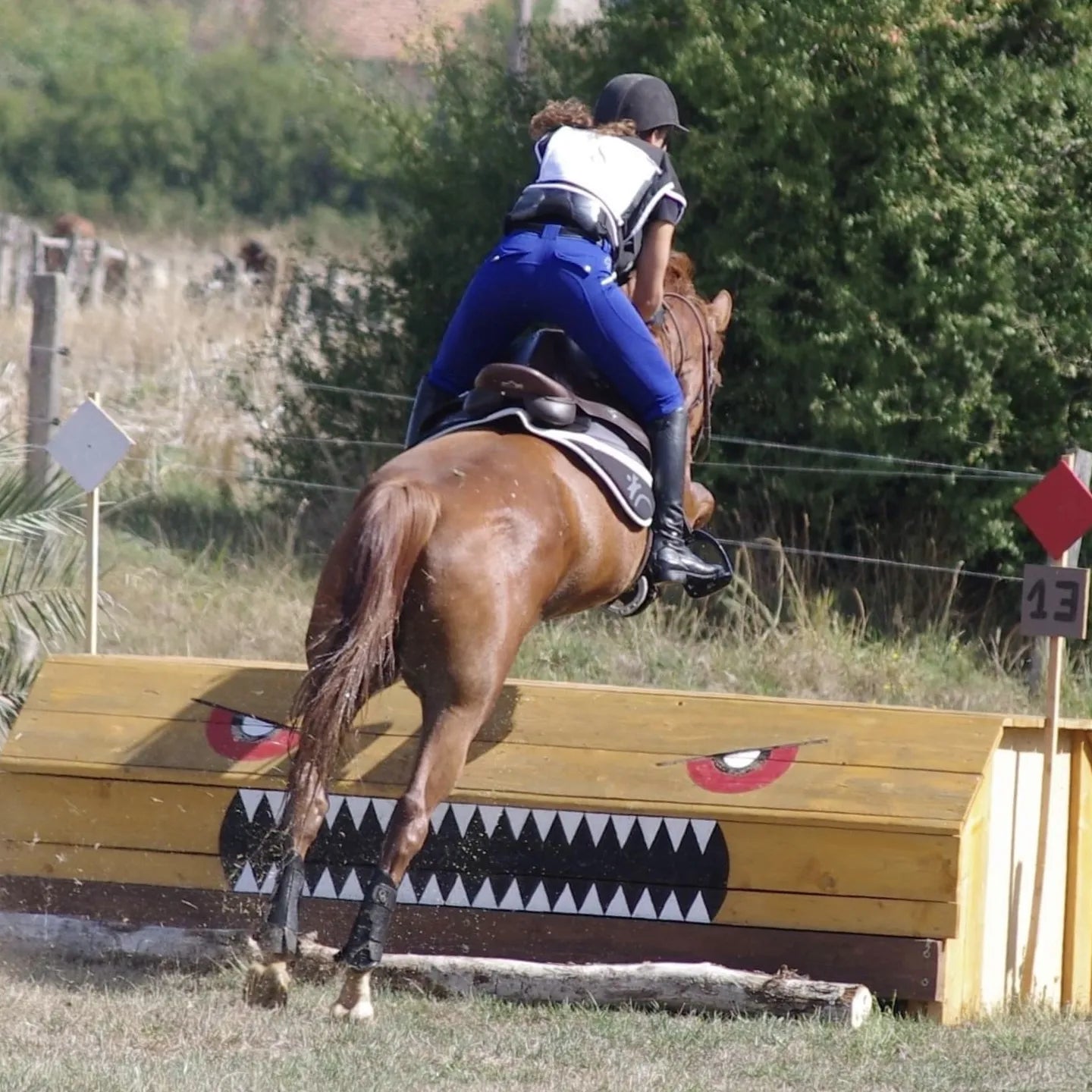 Pantalons leggings d'équitation bleu