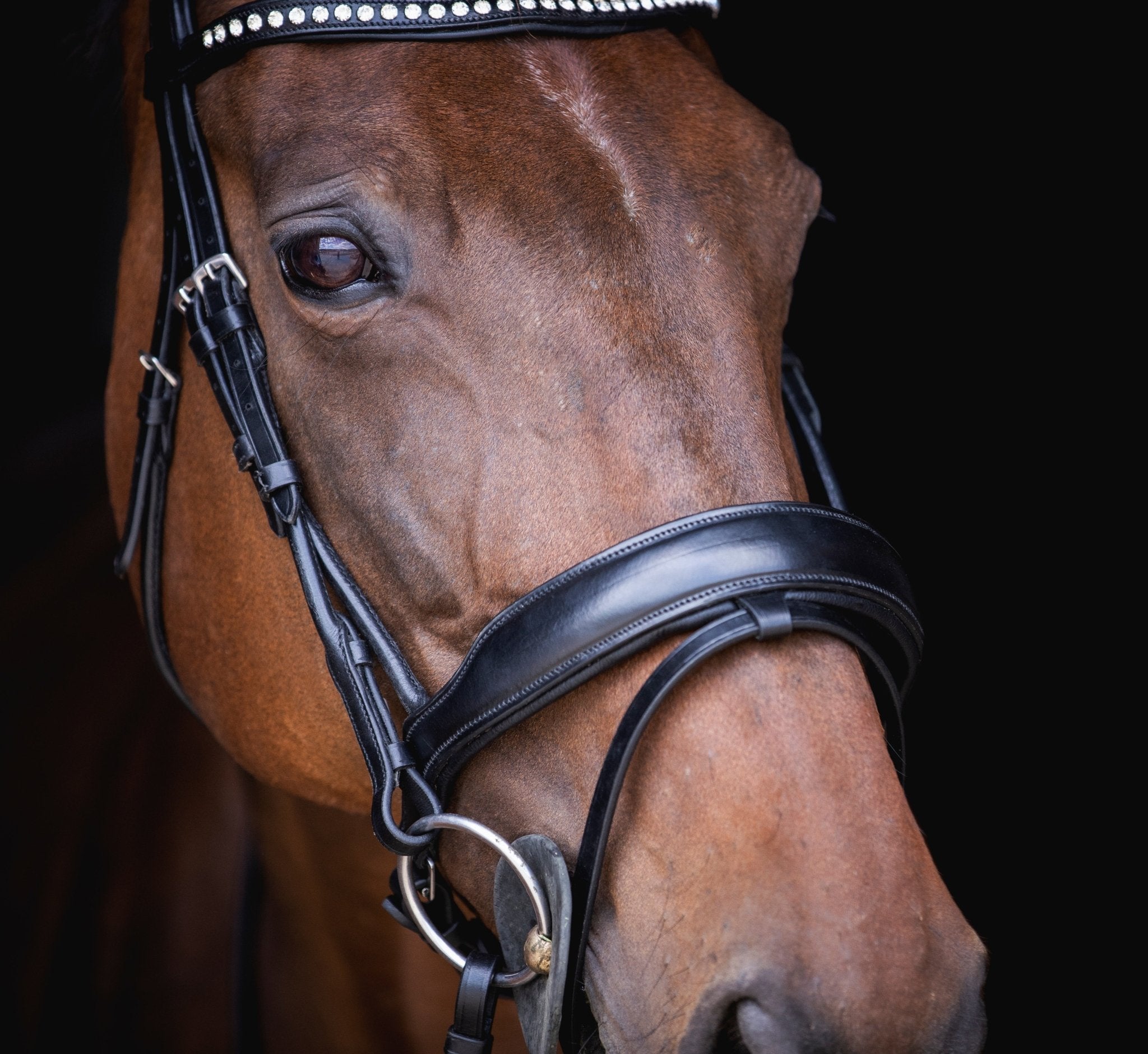 Filet anatomique en cuir noir avec frontal à strass - equipassion - boutique