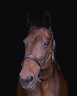 Licol cuir marron cheval élégance - equipassion - boutique