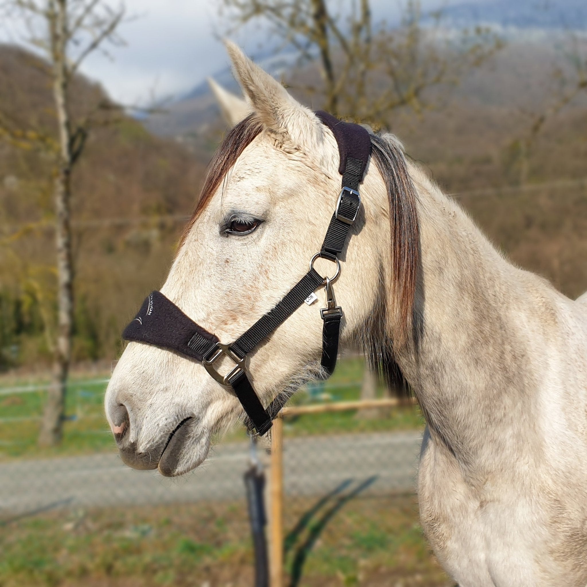 Licol nylon noir - equipassion - boutique